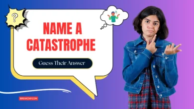 Name a Catastrophe : Guess Their Answer